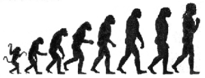 silhouettes of human evolution