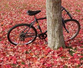 Bicycle of the&nbsp;Future